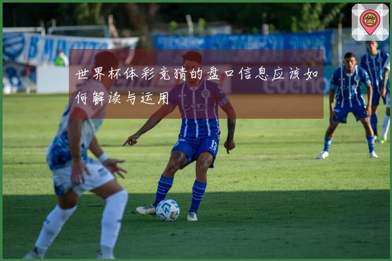 世界杯体彩竞猜的盘口信息应该如何解读与运用