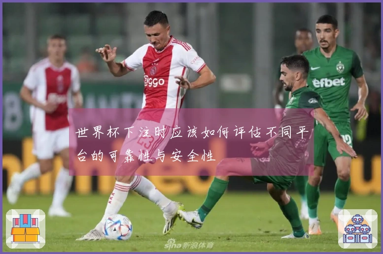 世界杯下注时应该如何评估不同平台的可靠性与安全性